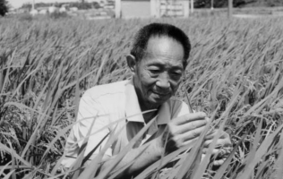 緬懷！國(guó)之脊梁