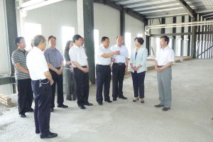 副省長張建欣調(diào)研